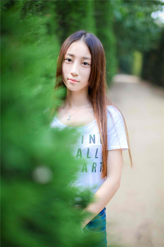 芈月传电视剧